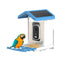 Smart Bird Feeder with Camera Solar Powered