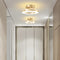 Modern LED Flush Mount Ceiling Light Fixture with Adjustable Color Temperature for Bedroom and Living Spaces 1