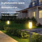Solar LED Outdoor Lawn Light – Rainproof Solar Garden Lights for Landscape Lighting and Patios 3