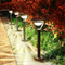 Super Bright Solar LED Garden Lights - Waterproof Outdoor Solar Lamp for Courtyards and Pathways 3