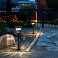 Super Bright Solar LED Garden Lights - Waterproof Outdoor Solar Lamp for Courtyards and Pathways 4