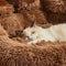 Premium Dog Bed For Peaceful Sleep