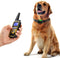 800M Rechargeable Electric Dog Training Collar